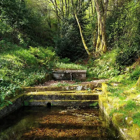 度假居 A Casa Dos Avos Es Casa De Piedra De 1850 Con Piscina Y En Plena Naturaleza En Galicia 拉科鲁尼亚