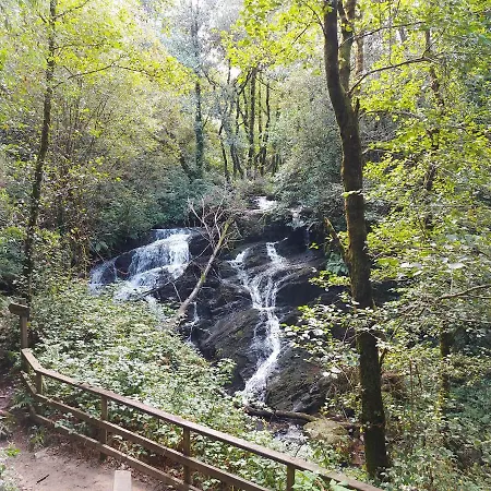 A Casa Dos Avos Es Casa De Piedra De 1850 Con Piscina Y En Plena Naturaleza En Galicia 度假居