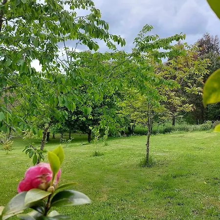 A Casa Dos Avós - Vilariño - Сasa de vacaciones